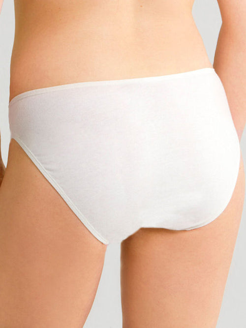 Allergen-Free Hi-Cut Brief 2-Pack - Plus Sizes