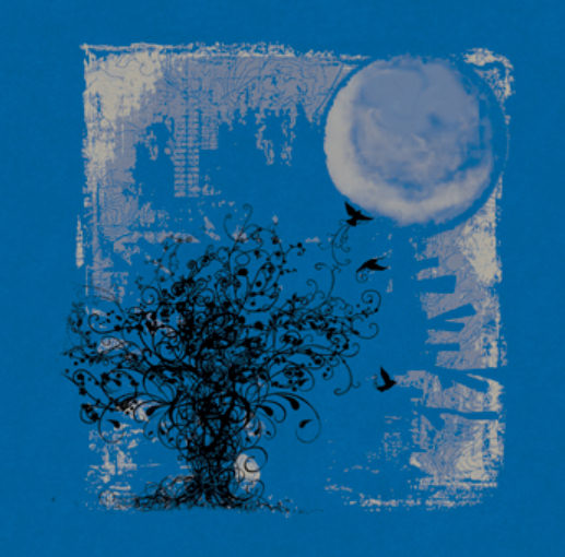 Tree and Moon Women's Tee - Size S
