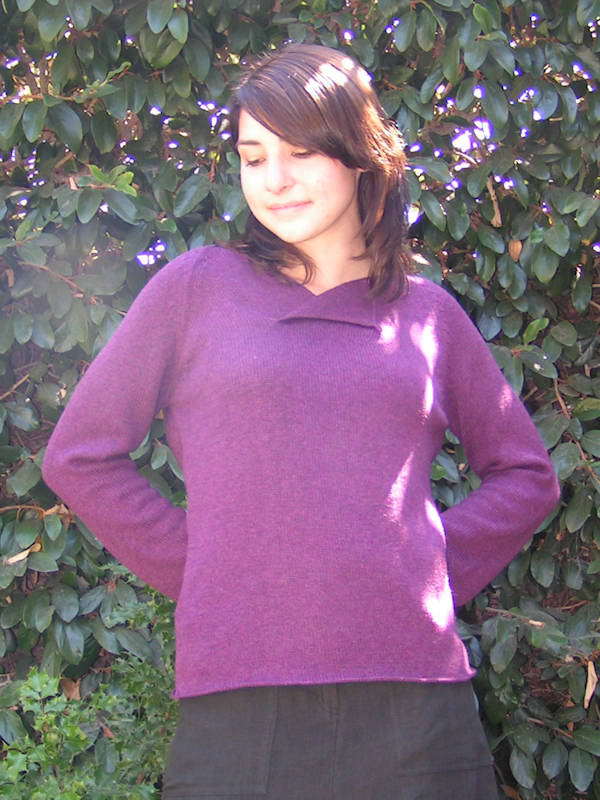 Turning Leaf Pullover