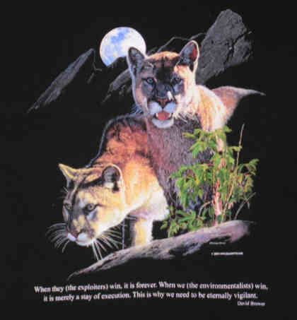 Two Cougars Tee
