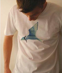 Arctic Tern Tee - Size XL