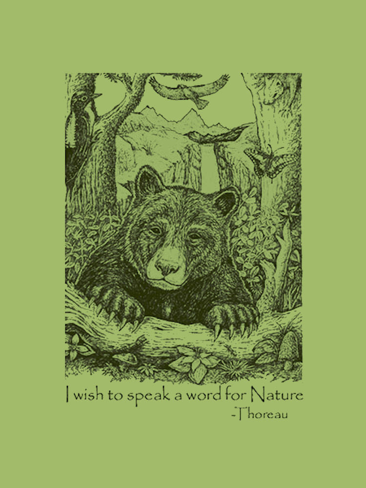 Bear Wonder Tee - Size S
