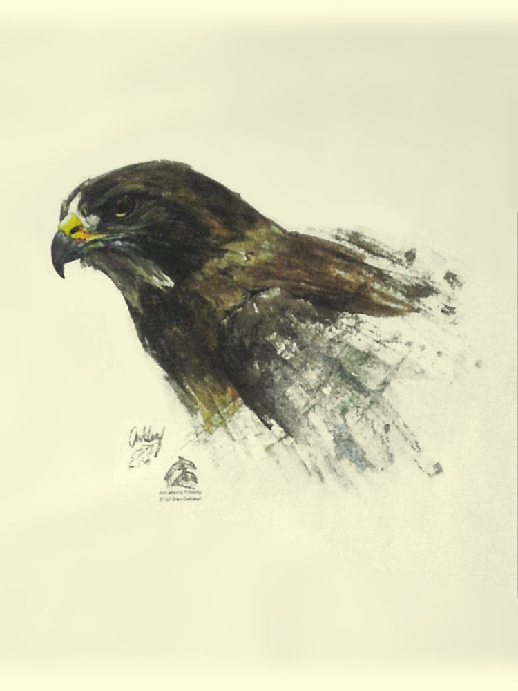 Swainson's Hawk Tee - Size S
