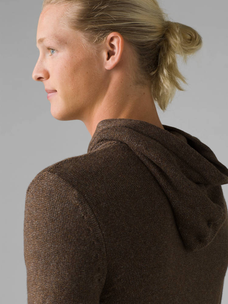 North Loop Hooded Sweater