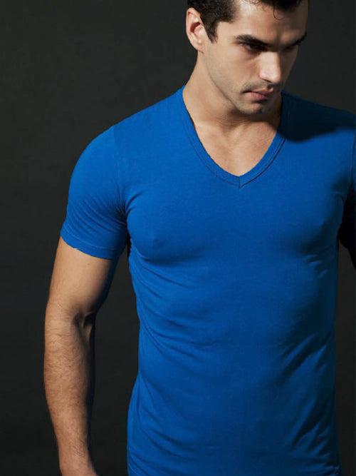 Blueberry Zing V-Neck Tee