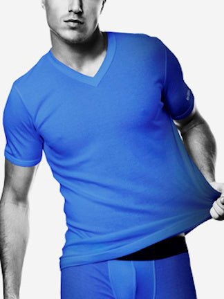Blueberry Zing V-Neck Tee