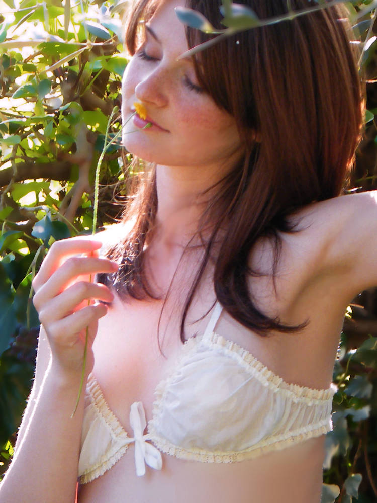 Sheer Lace Triangle Bra
